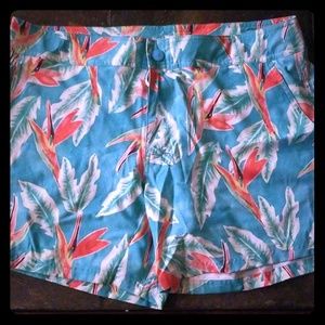 Chubbies Swim Trunks